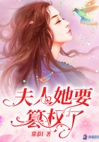 夫人她要篡權了