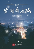 我的空間有座城