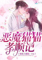 惡魔貓貓孝順記