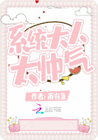 系統大人太帥氣