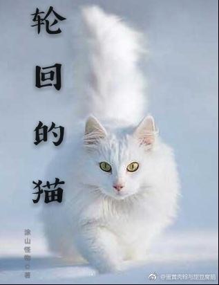 輪回裡的貓