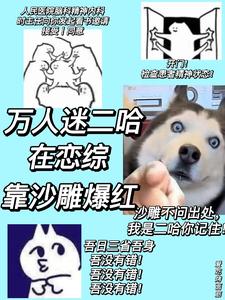 萬人迷二哈在戀綜靠沙雕爆紅