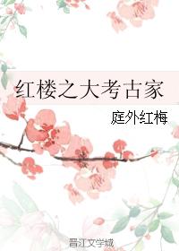 紅樓之大考古家