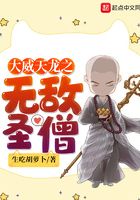 大威天龍之無敵聖僧