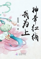 我為上神牽紅線