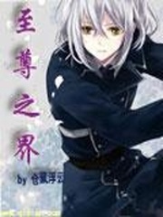 至尊之界