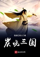 炭燒三國