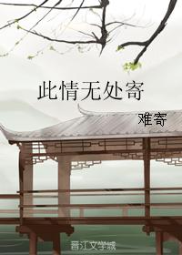 此情無處寄