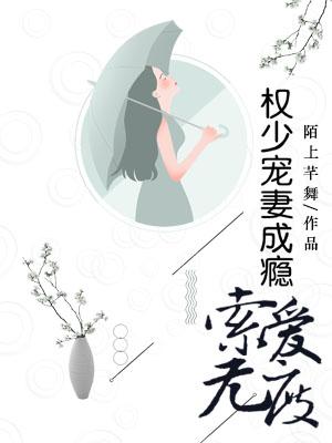索愛無度：權少寵妻成癮