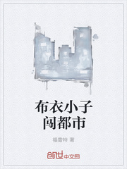 布衣小子闖都市