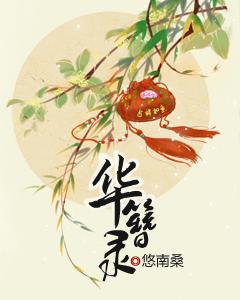 華簪錄