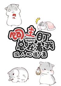 飼主總在盯著我
