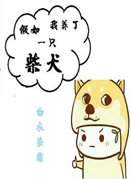 假如我養了一隻柴犬