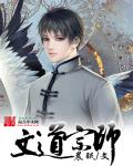 文道宗師