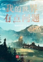 我的世界有點問題