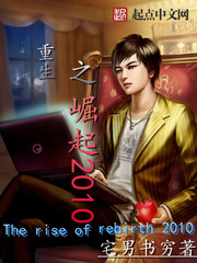 重生之崛起2010