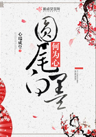 圓尾白墨何為心
