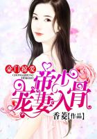豪門掠愛：帝少寵妻入骨