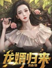 龍婿歸來