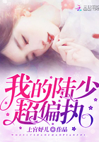 我的陸少超偏執