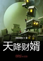 天降財婿