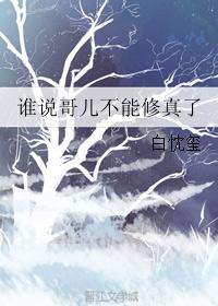 誰說哥兒不能修真了