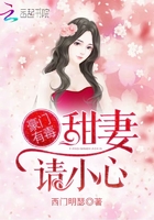 豪門有毒：甜妻，請小心