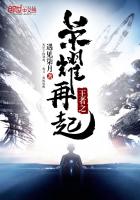王者之榮耀再起