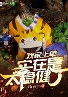 我家上單實在是太穩健了