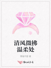 清風微拂溫柔處