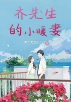 齊先生的小暖妻