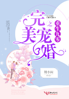重生九零之完美寵婚