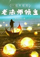 一位年輕的老法師領主