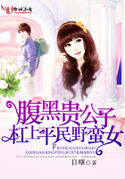 腹黑貴公子槓上平民野蠻女
