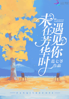 未在芳華時遇見你