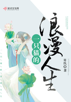 一隻貓的浪漫人生