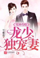 男神攻略：龍少獨寵妻