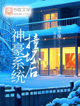 神豪系統撞壞後