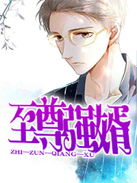 至尊強婿