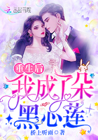 重生後我成了朵黑心蓮