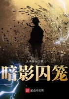 暗影囚籠