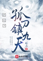 夢啟之孤刀鎮九天