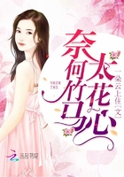 奈何竹馬太花心