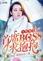 天降萌寶：首席BOSS求抱抱