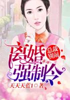 離婚強制令，總裁別鬧