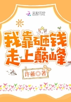 我靠砸錢走上巔峰