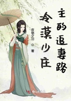 冷漠少莊主的追妻路