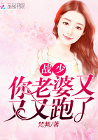 戰少你老婆又又又跑了