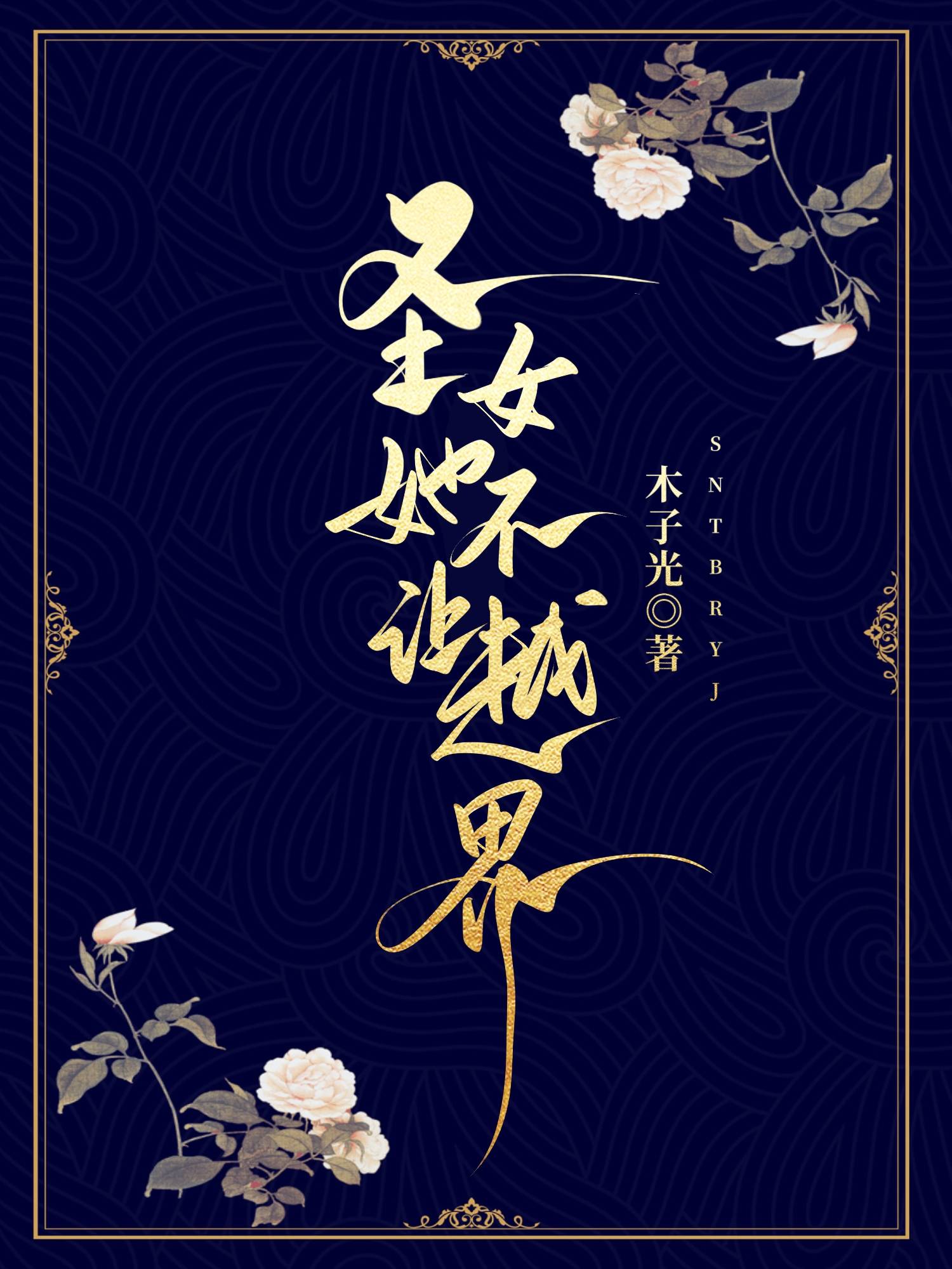 聖女她不讓越界