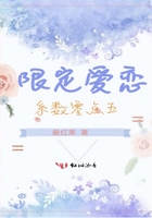 限定愛戀係數零點五